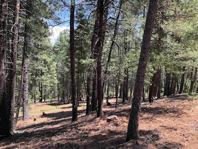 7 Timber Wolf unit 6 &24, Mayhill, NM 88339 - photo 2