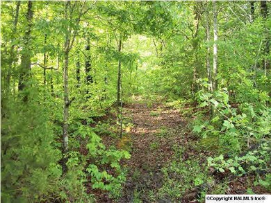 property has an established trail system