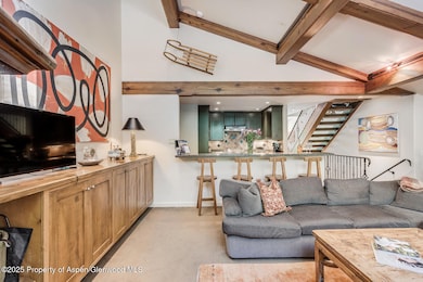 851 S Ute Ave unit B, Aspen, CO 81611 - photo 4