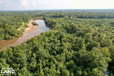 0 Hwy 19 N, Lumber City, GA 31549 - photo 2