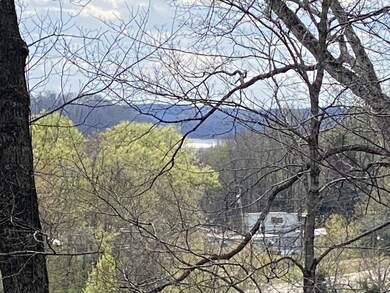 10448 Highway 147, Stewart, TN 37175 - photo 7