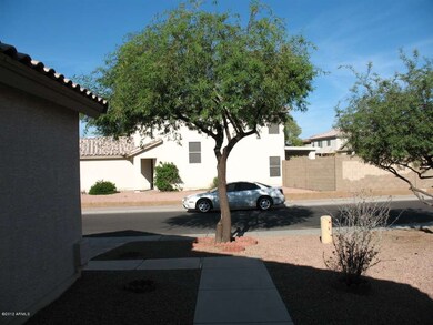 Shade Tree