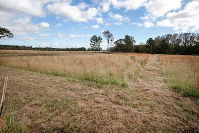 TBD 0- Lt 8 Fm 1892, Frankston, TX 75763 - photo 3