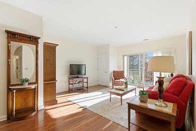 3 Repton Cir unit 3204, Watertown, MA 02472 - photo 3