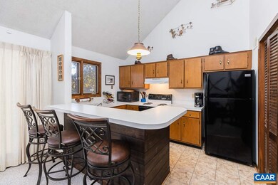 139 Eagles Ct, Wintergreen Resort, VA 22967 - photo 6