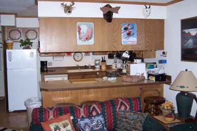 226 Pine Tree Way unit Pinetree unit 1C, Brian Head, UT 84719 - photo 4