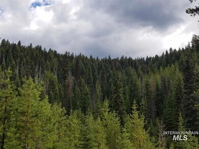 TBD American Eagle Properties Survey 1810 & Survey 188, Elk City, ID 83525 - photo 4