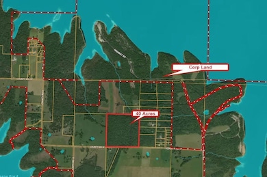 000 E Dade 4, Dadeville, MO 65635 - photo 2