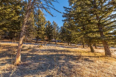 2383 Two Gun White Calf, Big Sky, MT 59716 - photo 7
