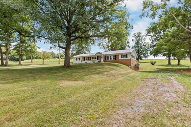 1-web-or-mls-217A2519