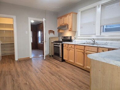 3141 N Luna Ave unit 2, Chicago, IL 60641 - photo 7