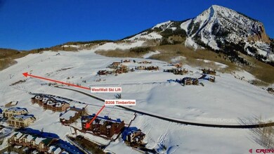 32 Hunter Hill Rd unit B208, Mt. Crested Butte, CO 81225 - photo 3
