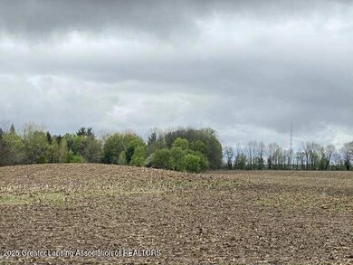 00 W Cutler Rd, Dewitt, MI 48820 - photo 6