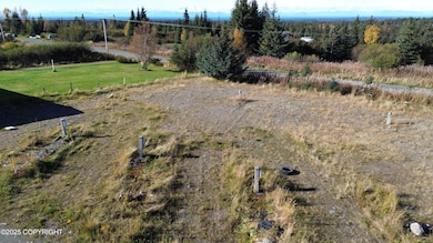 64820 Nikolaevsk Rd, Nikolaevsk, AK 99556 - photo 2