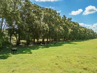 0 SW 80th St, Trenton, FL 32693 - photo 5