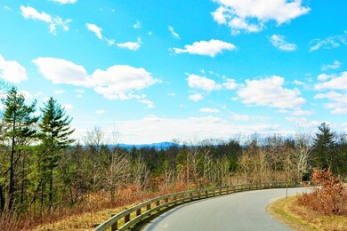 18 Oak Trail, Bolton, MA 01740 - photo 4