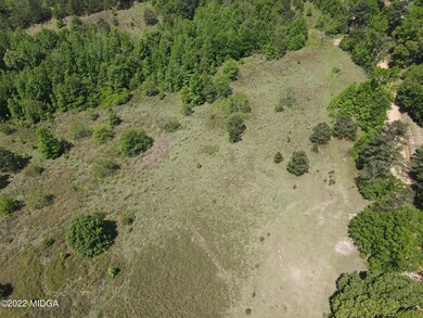 00 Genie Ethridge Rd, Gray, GA 31032 - photo 5