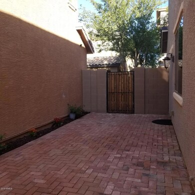 back yard