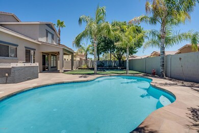 10249 E Los Lagos Vista Ave, Mesa, AZ 85209 - photo 6