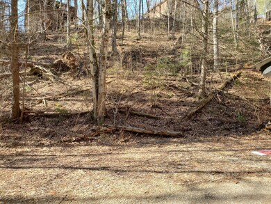 Spring Hollow 2