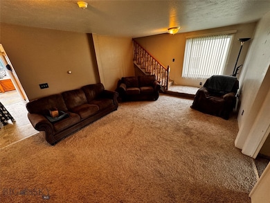 Carpeted living area