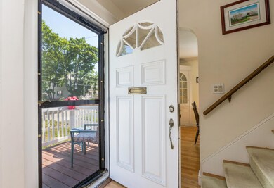 Spider web front door detail