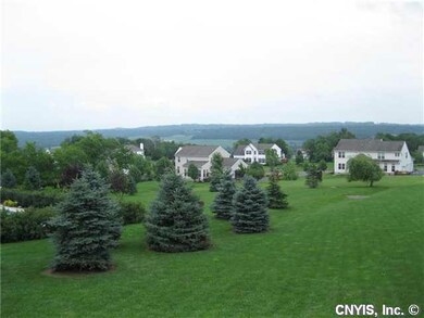 Yard/Garden