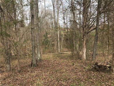 5912 Newman Davis Rd, Greensboro, NC 27406 - photo 5