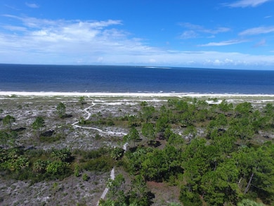 296 Sea Grove Way, Port St. Joe, FL 32456 - photo 3