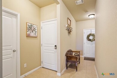 1149 Spring Terrace Loop, Temple, TX 76502 - photo 5