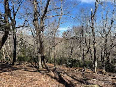 Lot 240 Thunder Wood Trail unit 240, Blowing Rock, NC 28605 - photo 6