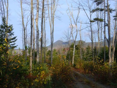 L34E Woodbury Cole Rd, Stark, NH 03582 - photo 4