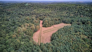 0 Bells Mines School Rd, Sturgis, KY 42459 - photo 3