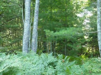 Land/Lot.