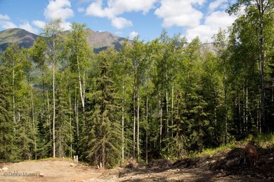 Heavily Treed