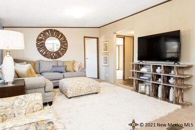 4205 Redbud St, Carlsbad, NM 88220 - photo 3