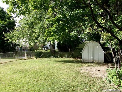 Backyard.