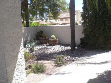 Backyard view