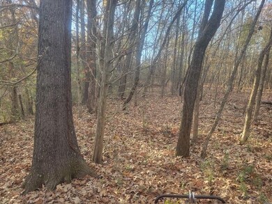 0 Kay Ln, Somerville, TN 38068 - photo 4