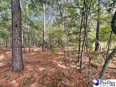 0 Center Point Rd, Chesterfield, SC 29709 - photo 2