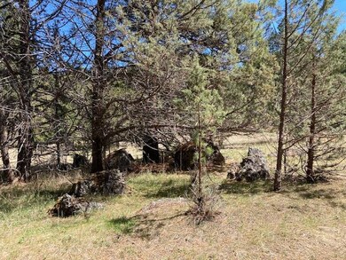 0 Nans Rock Rd unit 220121943, Mount Vernon, OR 97865 - photo 5