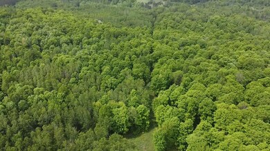 0 State Road 70 unit 50304991, Long Lake, WI 54542 - photo 7