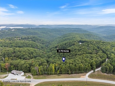 402-00001-000 TBD Highway 187, Busch, AR 72631 - photo 3