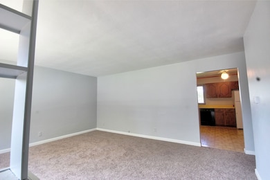 714 E Sycamore St, Watseka, IL 60970 - photo 7