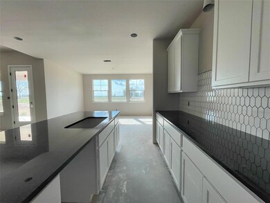 501 Old Agnes Rd, Weatherford, TX 76088 - photo 4