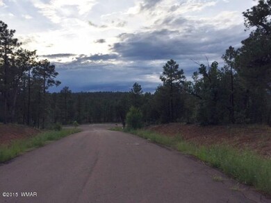 5983 LUMINARY Way, Lakeside, AZ 85929