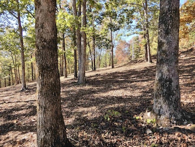 Lot 33, 34 & 35 Watersedge Dr, Edgemont, AR 72044 - photo 7