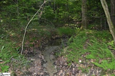 124 Old Flat Shoals Rd, Walhalla, SC 29691 - photo 7