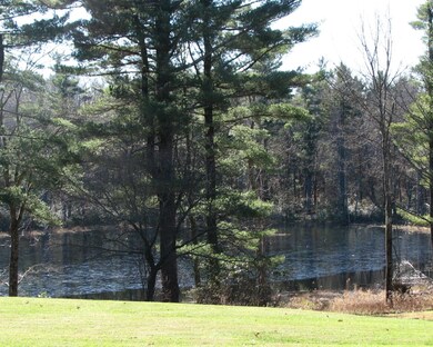 Pond-View