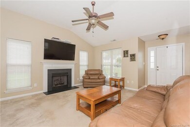 Gas Fire Place